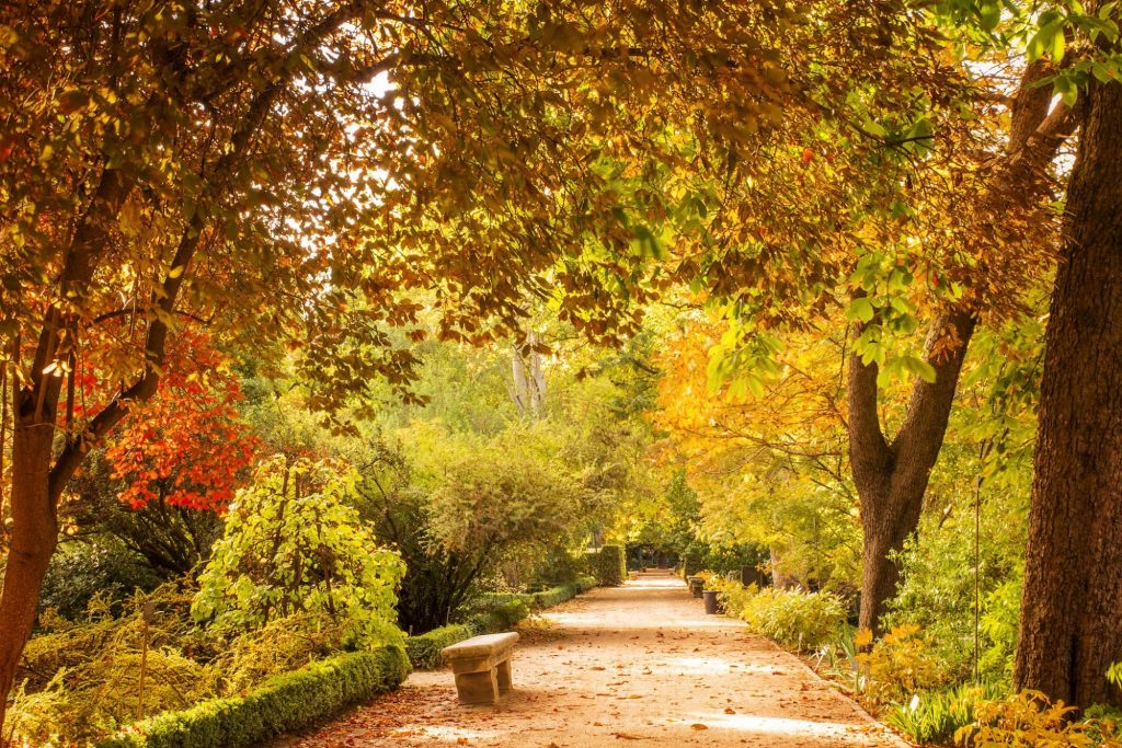 Parques y Jardines de Madrid
