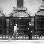 Posando delante de las jaulas de los felino, años 40-50