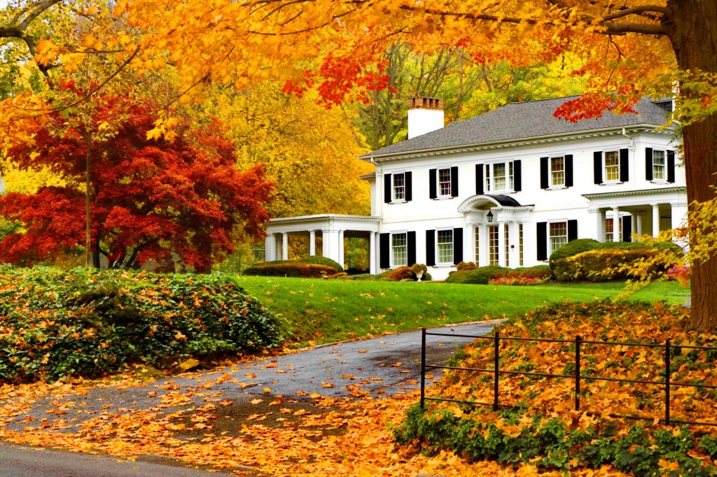 Limpieza de otoño en el hogar. Consejos y recomendaciones