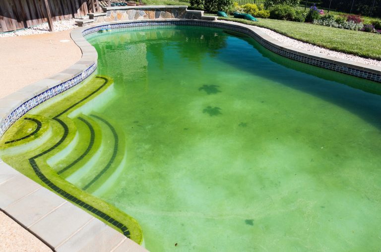 Qué hacer si en tu piscina se ha puesto el agua verde